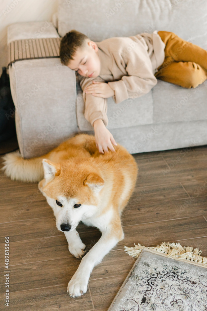 Boy lying on sofa by dog at home Boy lying on sofa by dog at home