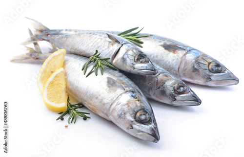 Fish mackerel with lemon and rosemary on white background