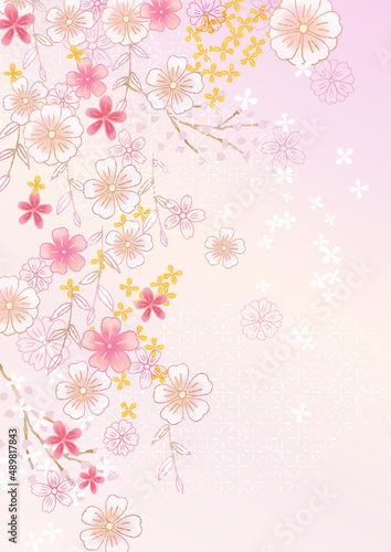 Fototapeta Naklejka Na Ścianę i Meble -  春の手描き ピンクの桜背景