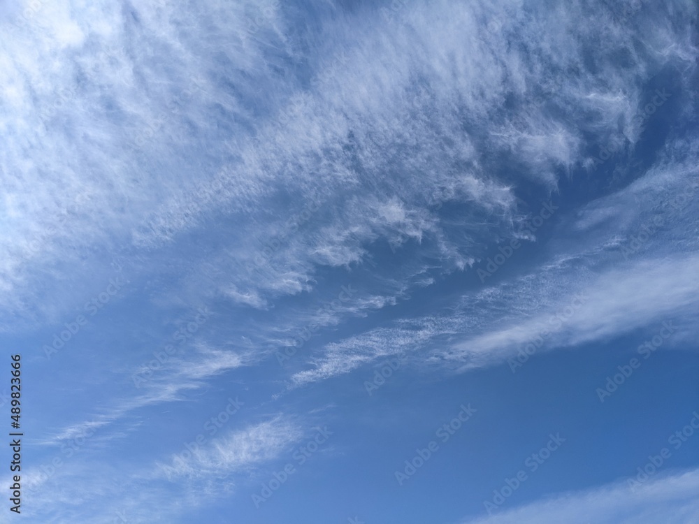 冬の空と飛行機雲