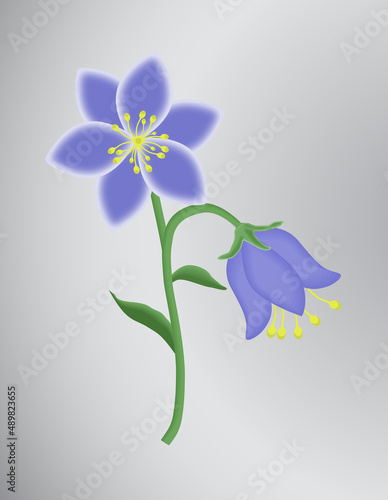 meadow bell