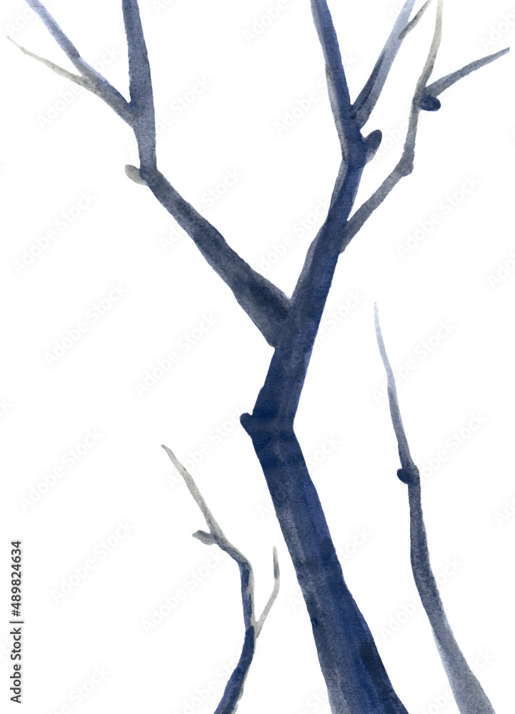 Fototapeta premium A tree branch. A blue, gnarled branch, without leaves