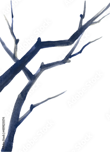 A tree branch. A blue  gnarled branch  without leaves