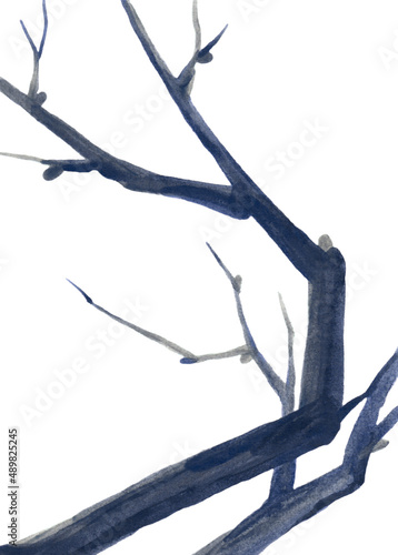 A tree branch. A blue  gnarled branch  without leaves