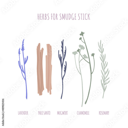 Herbs and Palo Santo for smudge sticks set.