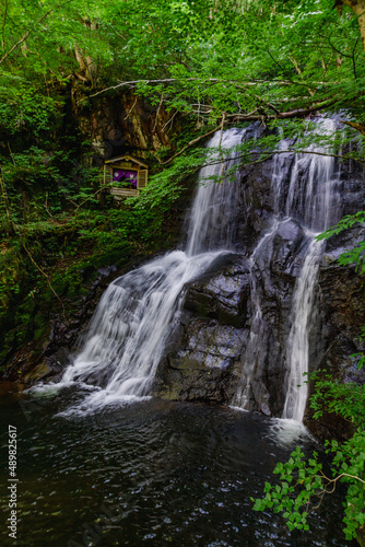 飛騨高山 夏の県立自然公園 宇津江四十八滝 © naomi sugitani