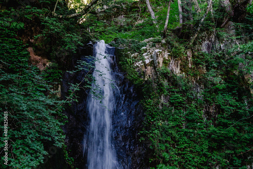 飛騨高山 夏の県立自然公園 宇津江四十八滝