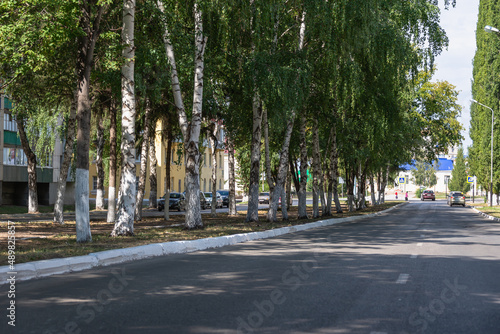 City street with green trees. © Ilya