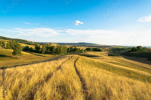 Hills with tall yellow grass and trees.