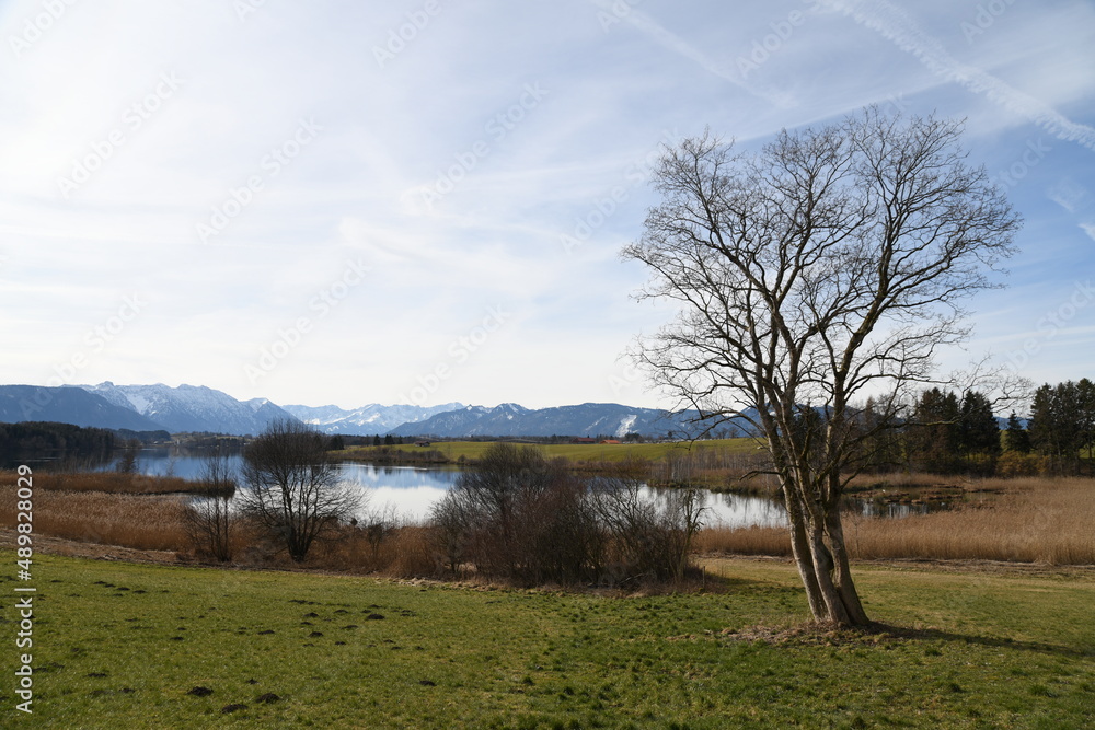 Obraz premium Blick auf den Riegsee