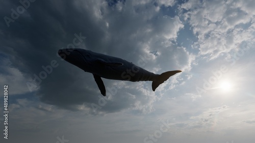 sky whale