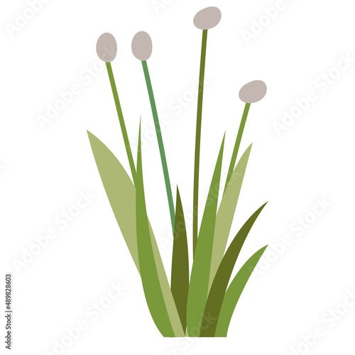 Grass vector illustration in flat color design