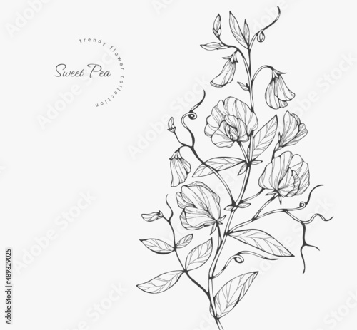 Vászonkép Trendy wedding flowers for logo or decorations