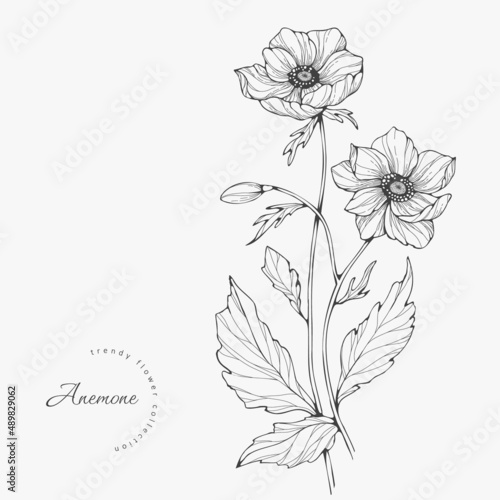 Trendy wedding flowers for logo or decorations. Hand drawn line wedding decoraton, elegant leaves for invitation save the date card. Botanical rustic trendy greenery