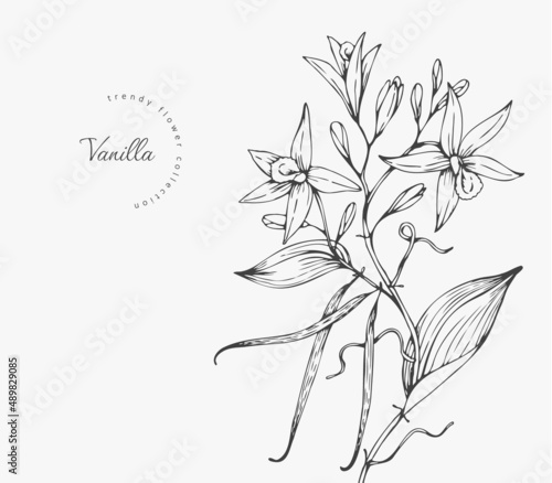Trendy wedding flowers for logo or decorations. Hand drawn line wedding decoraton, elegant leaves for invitation save the date card. Botanical rustic trendy greenery