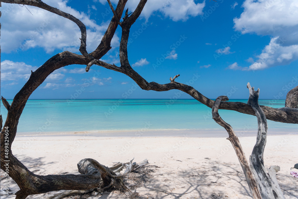 Landscape of a Caribbean beach with crystal clear blue water