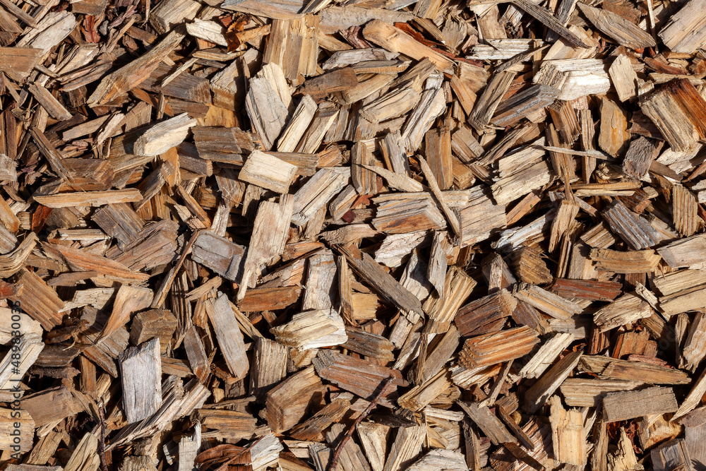 Wood chip bark chippings having been shredded for use as a garden mulch by the lumber timber industry which can be used as an abstract texture background, stock photo image Wood chip bark chippings having been shredded for use as a garden mulch by the lumber timber industry which can be used as an abstract texture background, stock photo image