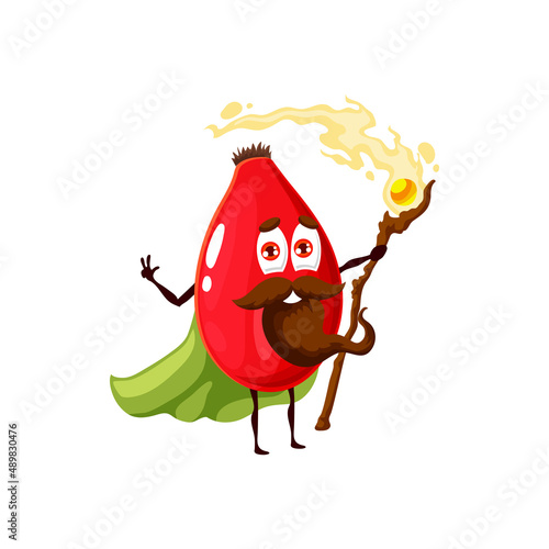 Cartoon red rosehip berry wizard, vector magician character with beard and magic staff making spell. Funny smiling sorcerer in green cape, healthy fascinator personage, natural food wiz conjurer