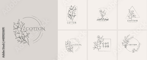 Cotton plant logo and branch. Hand drawn line wedding herb, elegant leaves for invitation save the date card. Botanical rustic trendy greenery photo