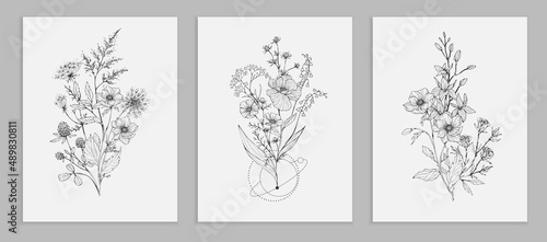Trendy wildflowers and minimalist flowers for logo or decorations. Hand drawn line wedding herb, elegant leaves for invitation save the date card. Botanical rustic trendy greenery photo