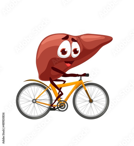 Cartoon liver character personage rides a bicycle. Vector anatomical internal body organ with cute smiling face exercising. Medical kawaii healthy liver bicyclist, kids education, anatomy, health care