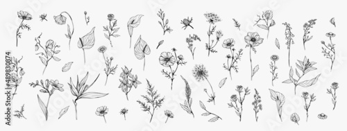 Trendy floral branch and minimalist flowers for logo or decorations. Hand drawn line wedding herb, elegant leaves for invitation save the date card. Botanical rustic trendy greenery