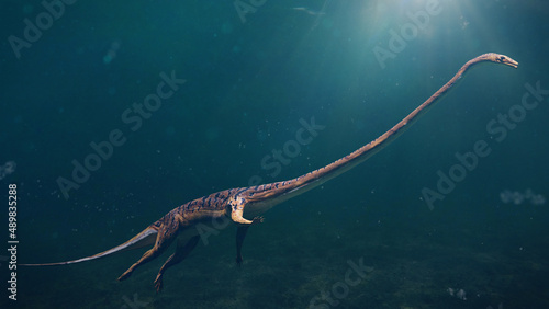 Tanystropheus, extinct reptile from the Middle to Late Triassic epochs