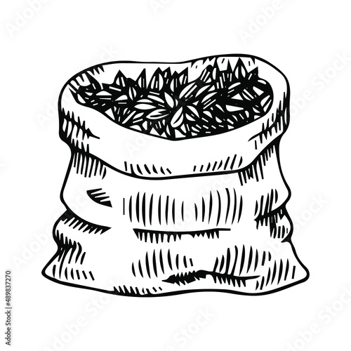 Hand-drawn wheat. Cereal plants in a bag and cereals in a bowl, rye barley and ears of wheat. Sketch sketch sketch for food packaging template, food engraving 