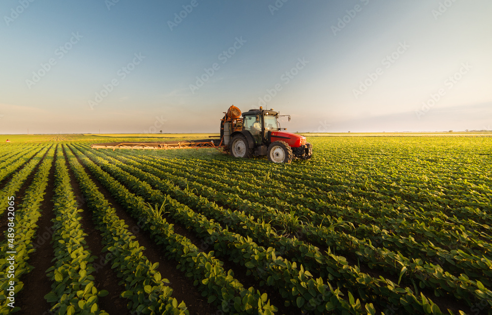 Tractor spraying soybean field at spring - obrazy, fototapety, plakaty 