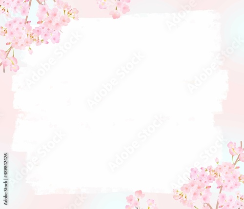 美しい水彩画風淡いピンク色の桜の花と花びら春の白バックのフレームベクター素材イラスト