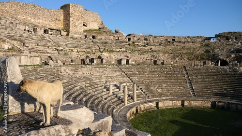 Remakes of the Hellenistic theater in the ancient Greek settlement of Miletus on the territory of the modern Turkish village of Balat  photo