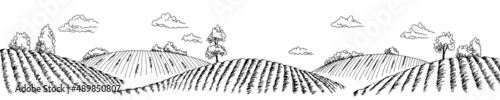Field graphic black white long landscape sketch illustration vector 