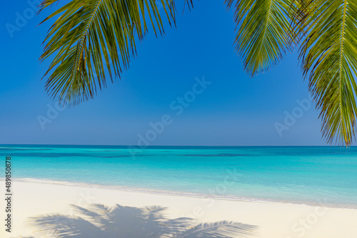 Summer beach landscape. tropical island shore, coast with palm tree leaves. Amazing blue sea horizon, bright sky and white sand as relaxing vacation mood, travel background concept. Exotic destination