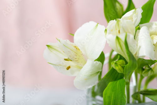 A bouquet of delicate white flowers. Festive card with spring flowers on a light pink background close up