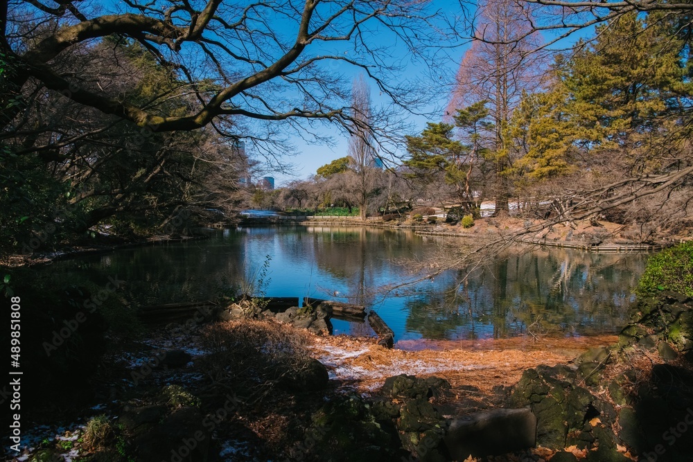 Fototapeta premium autumn in the park