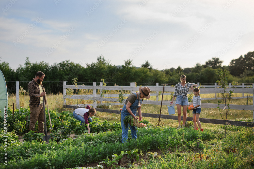 Fototapeta premium Happy farmers or gardeners working outdoors at community farm.