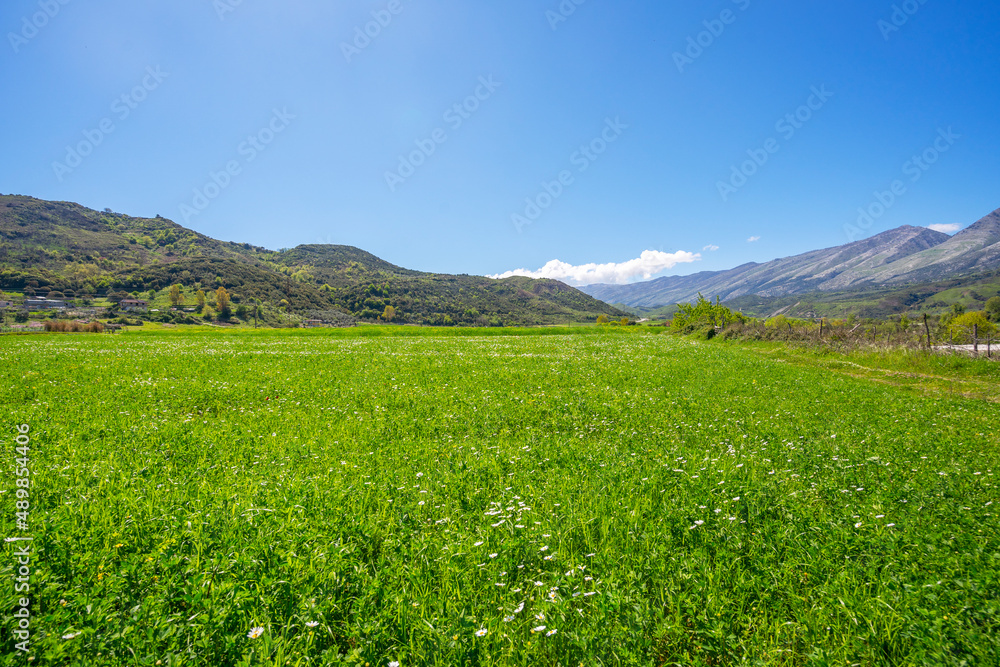 Beautiful Summer landscape with bright green fields