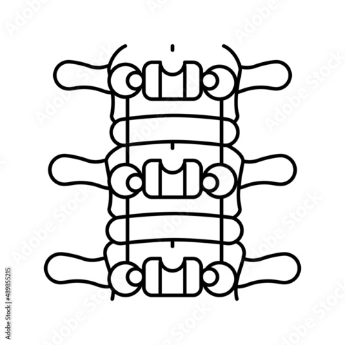 spinal fusion line icon vector illustration