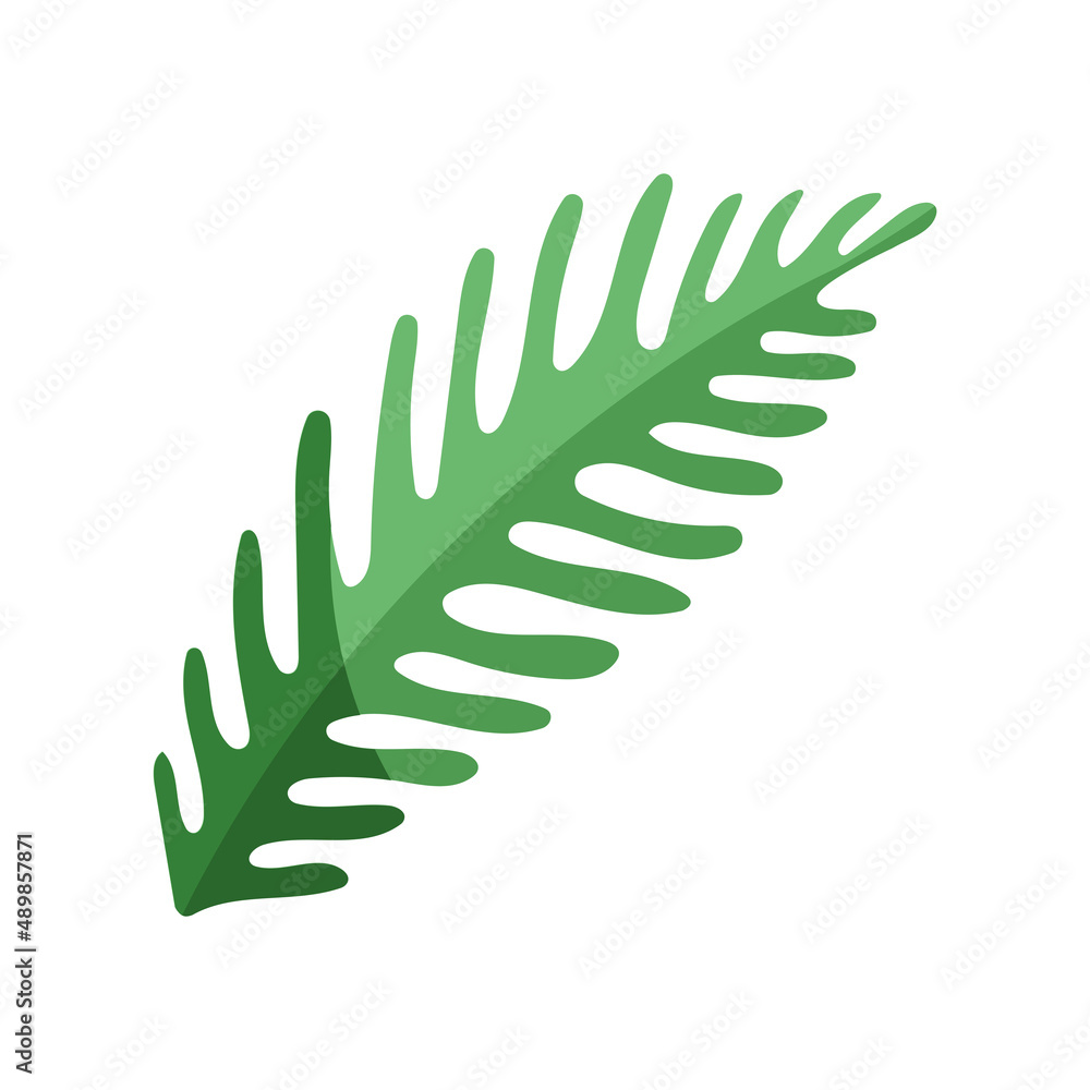 Fototapeta premium tropical leaf palm