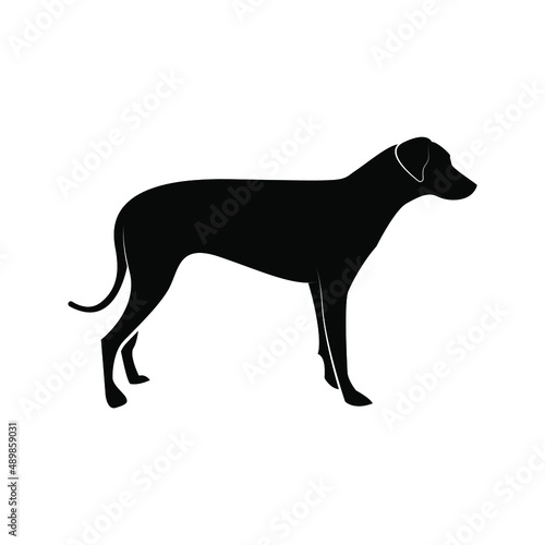 Dog icon. animal sign. vector illustration