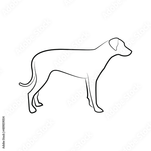 Dog icon. animal sign. vector illustration