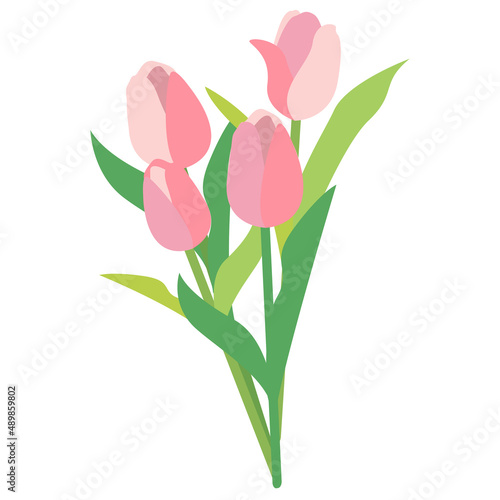 チューリップの花束イラスト素材
