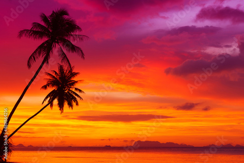 Coconut palm trees on tropical island beach at sunset © nevodka.com