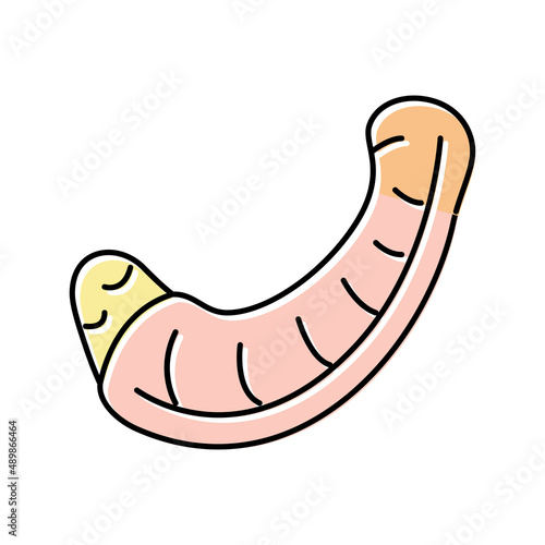 neck chicken color icon vector illustration