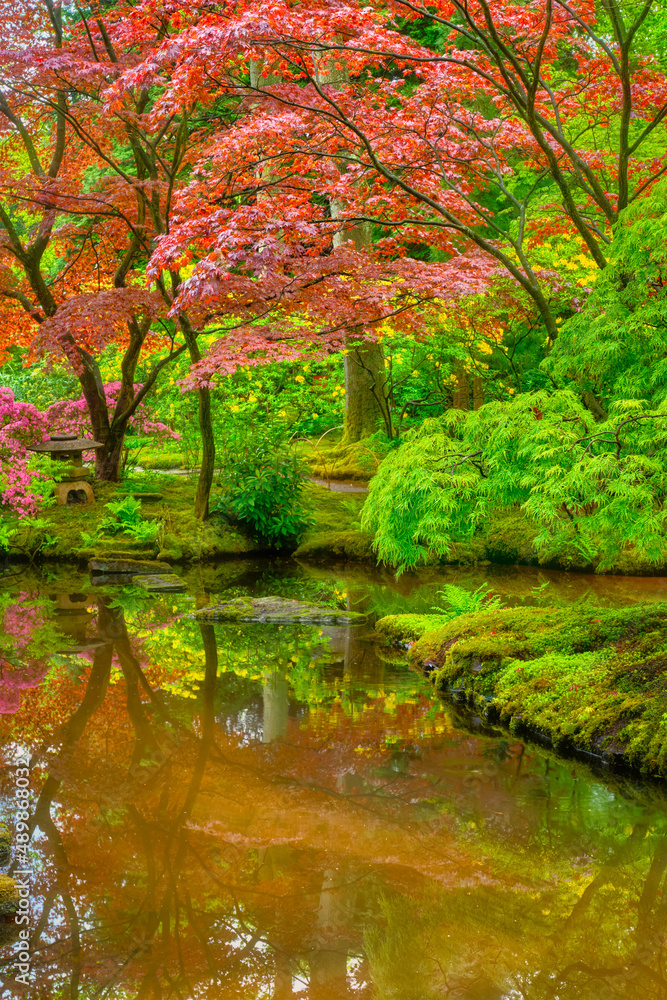 Small Japanese garden after rain, Park Clingendael, The Hague, Netherlands