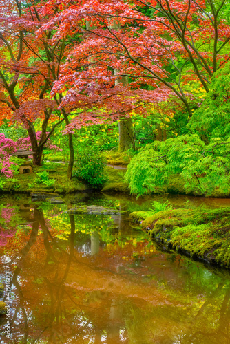 Small Japanese garden after rain  Park Clingendael  The Hague  Netherlands