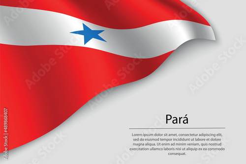 Wave flag of Para is a state of Brazi