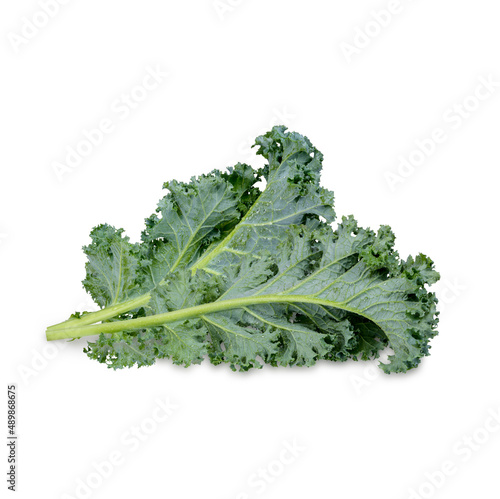Fresh kale with water drops isolated on white background