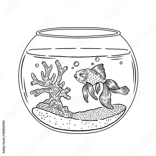 Hand drawn goldfish swimming in round glass bowl aquarium. Vector illustration isolated on white background