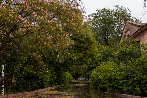 Beautiful town landscape  early autumn trees and bushes after heavy rain  reflection in puddles on pavement. Weather changes  after thunderstorm concept.